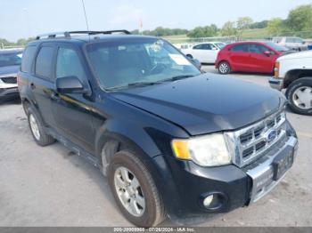  Salvage Ford Escape