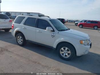  Salvage Ford Escape