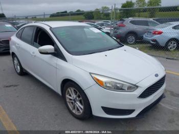  Salvage Ford Focus