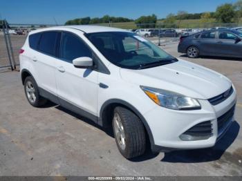  Salvage Ford Escape