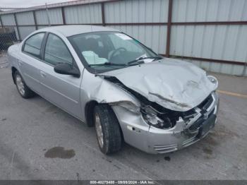  Salvage Dodge Neon