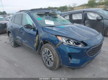  Salvage Ford Escape