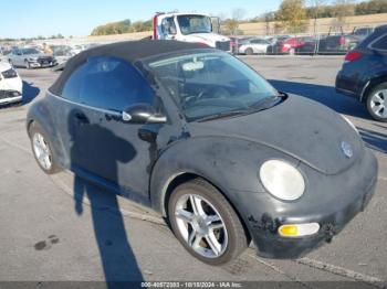  Salvage Volkswagen Beetle