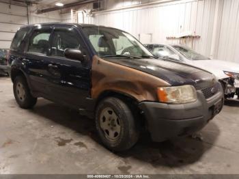  Salvage Ford Escape