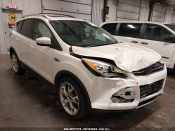  Salvage Ford Escape