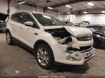  Salvage Ford Escape