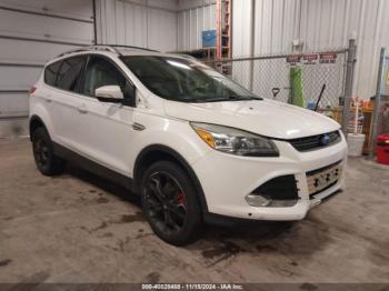  Salvage Ford Escape