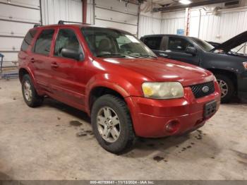  Salvage Ford Escape