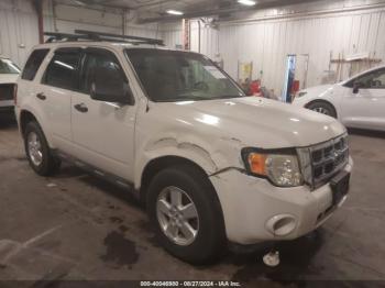  Salvage Ford Escape