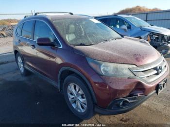  Salvage Honda CR-V