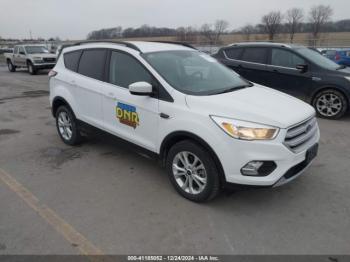  Salvage Ford Escape