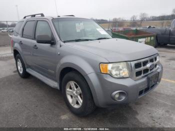  Salvage Ford Escape