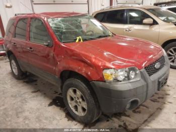  Salvage Ford Escape