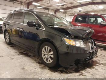  Salvage Honda Odyssey