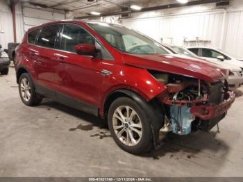  Salvage Ford Escape