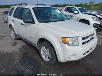  Salvage Ford Escape