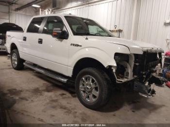  Salvage Ford F-150