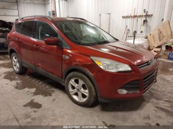  Salvage Ford Escape