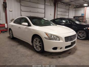  Salvage Nissan Maxima