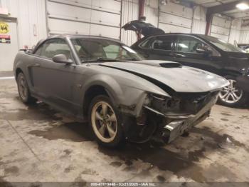  Salvage Ford Mustang