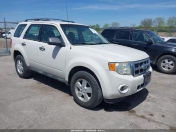  Salvage Ford Escape