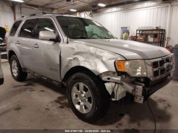 Salvage Ford Escape