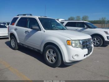  Salvage Ford Escape
