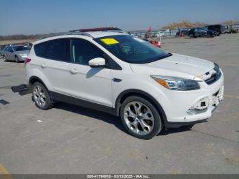  Salvage Ford Escape