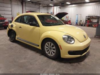  Salvage Volkswagen Beetle