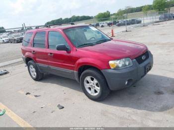  Salvage Ford Escape