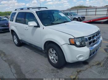 Salvage Ford Escape