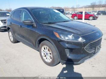  Salvage Ford Escape