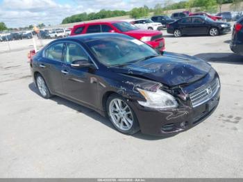  Salvage Nissan Maxima