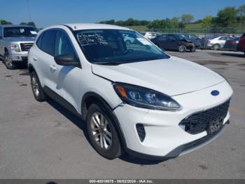  Salvage Ford Escape