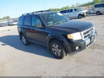  Salvage Ford Escape