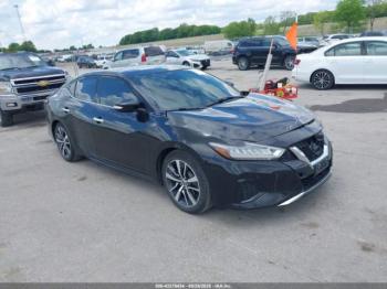  Salvage Nissan Maxima