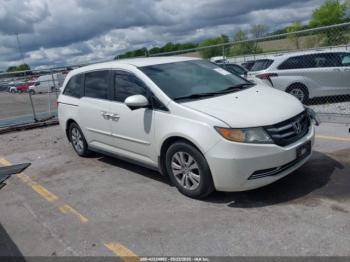  Salvage Honda Odyssey