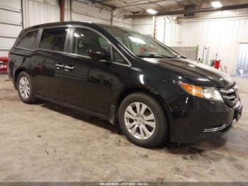 Salvage Honda Odyssey