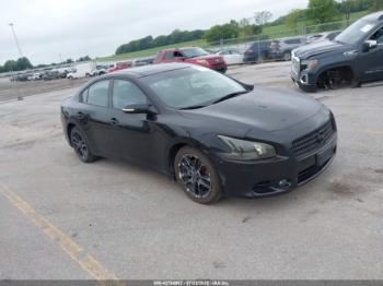  Salvage Nissan Maxima