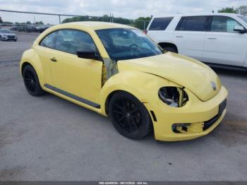  Salvage Volkswagen Beetle