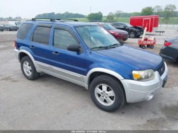  Salvage Ford Escape