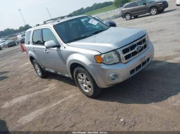  Salvage Ford Escape