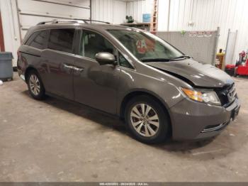 Salvage Honda Odyssey
