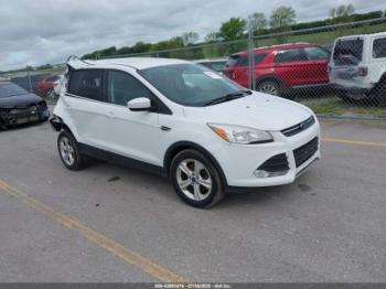  Salvage Ford Escape