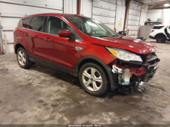 Salvage Ford Escape