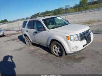  Salvage Ford Escape
