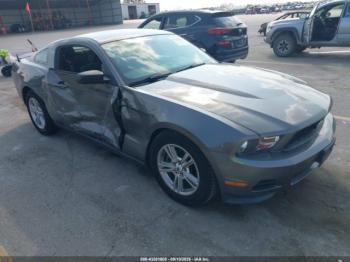  Salvage Ford Mustang