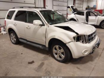  Salvage Ford Escape