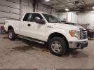 Ford F-150 Image 1