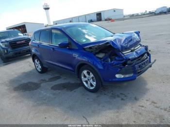  Salvage Ford Escape